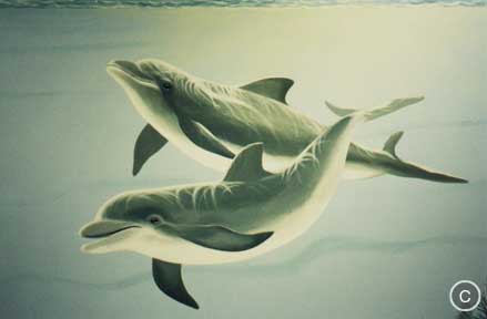 Dolphins swimming: Hand painted mural - Mural Mural On The Wall, Inc.