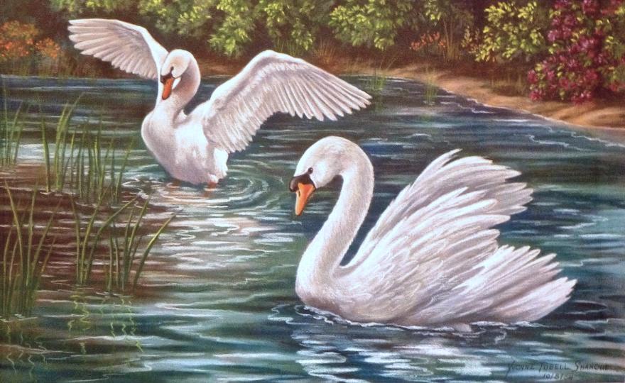 Pair of Swans -  Mural Mural on The Wall Inc., 