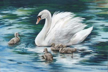 Swan with her Cygnets -  Mural Mural On The Wall  Inc.