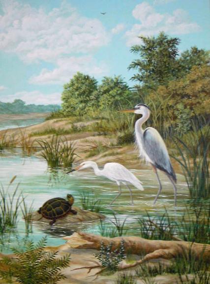 Florida Everglades Birds - Mural Mural On The Wall Inc.