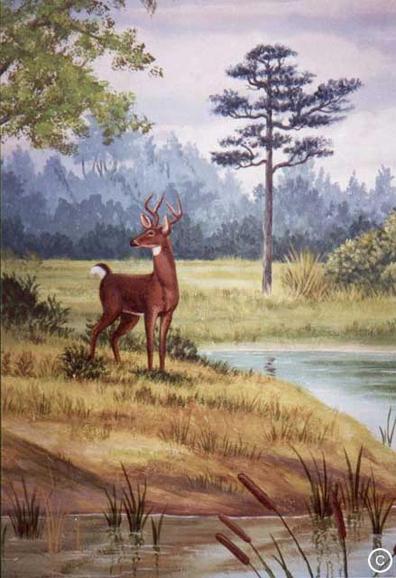 Florida Deer School Mural, Mural Mural On The Wall Inc.