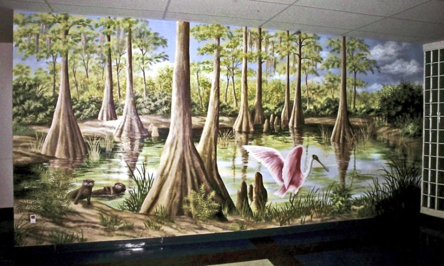 Florida Everglades Mural - Mural Mural On The Wall, Inc.